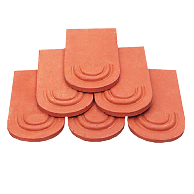 Ngói vảy rồng